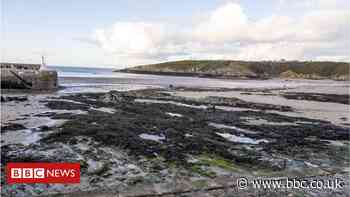 Anglesey rescue: Woman, 85, pulled from sea