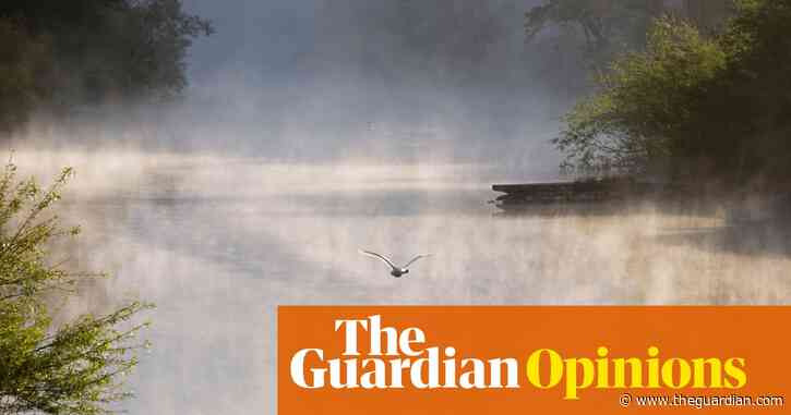 The government is looking the other way while Britain's rivers die before our eyes | George Monbiot