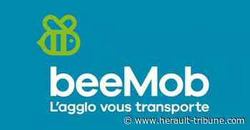 AGGLO BEZIERS MÉDITERRANÉE - Le réseau de bus beeMob à la rencontre des habitants du Biterrois - Hérault-Tribune