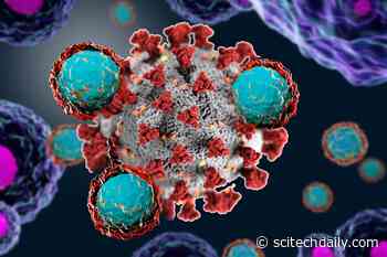 Generic BCG Vaccine Could Be Effective Against COVID-19