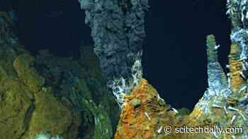 Hydrothermal Fluid From Piccard Vents Leads to Discovery That Transforms Understanding of Hydrogen Depletion at the Seafloor