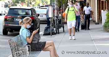 Why we can't bring you a coronavirus case update at the moment