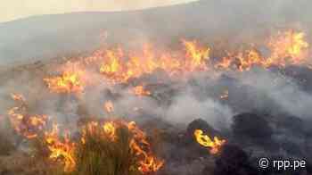 Junín: Más de mil hectáreas de pastizales afectadas por incendios forestales - RPP Noticias