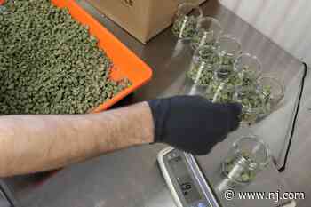 Doctor’s license suspended for improperly authorizing medical marijuana to patients - NJ.com