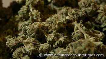 South Jersey doctor suspended over medical marijuana approvals - Burlington County Times