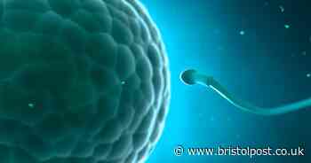Bristol scientists' discover sperm have been tricking us for 350 years