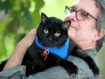Today's letters: Parliamentary cats, and the return to school