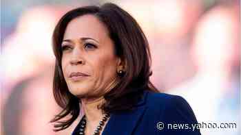 'The Five' react to Joe Biden's selection of Kamala Harris as running mate