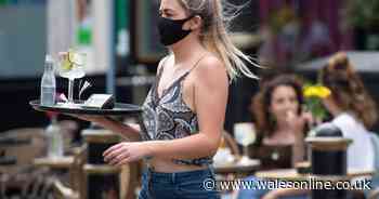 Welsh restaurants launch fight to stop no-shows