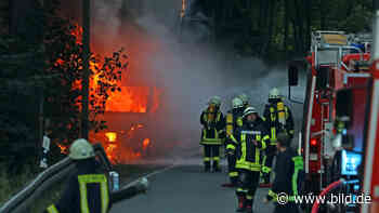 Lkw bei Zwickau in Flammen: Hier brutzeln 4500 Spiegeleier! - BILD