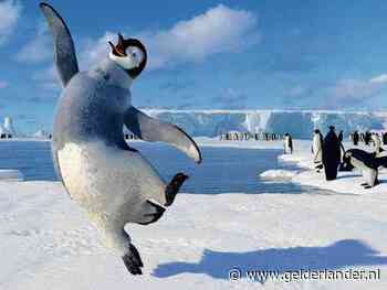 Van Happy Feet tot Ice Ice Baby: met deze kijk- en luistertips hou je het hoofd koel