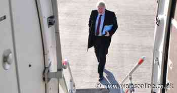 New Zealand frustrated with slow pace of UK trade talks