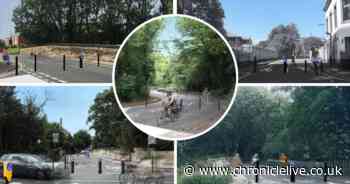 Calls to end 'hysterical allegations' over bridge closures