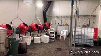 Police find Netherlands' biggest-ever cocaine lab