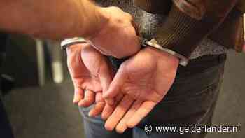 Elektrische fietsen doelwit van dieven in Doetinchem; agenten in burger houden één verdachte aan