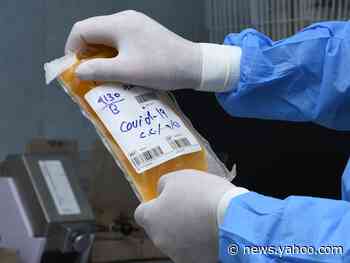 Blood transfusions from recovered coronavirus patients could become the next FDA-approved treatment — here's how convalescent plasma works