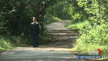 Edmonton police investigating suspected sexual assault attempt in Mill Creek Ravine