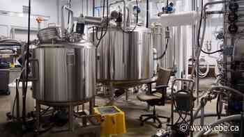 Alberta plant protein sector gets $2.6M boost in federal gov't funding for small food producers