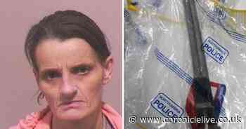 Mum jailed for running at social workers with imitation firearm