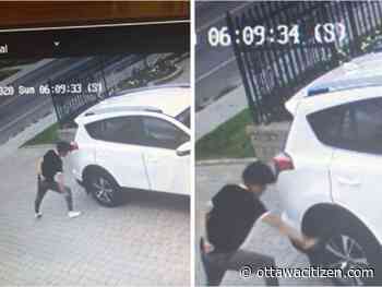 Police seek help identifying tire-slashing suspect