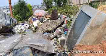 Pregnant mum's disgust as fly-tipping site found at bottom of garden