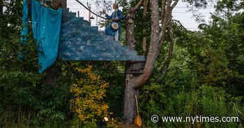 These Shows Are Made for Walking