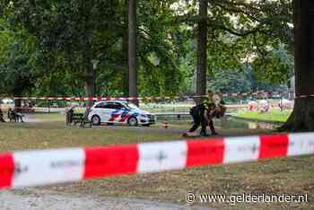 Isabel (18) ziet vanaf terras steekpartij en schiet direct te hulp: ‘Ik hoop dat hij het redt’