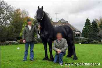 Wie is paardenman Jan B. die de grootste cocaïnewasserij van Nederland in zijn manege had?