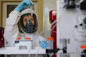 Russia to roll out world's first coronavirus vaccine ‘by end of August’ but Germany says it can't be trusted