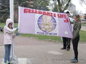 Court dismisses appeals over Prince Albert anti-abortion flag