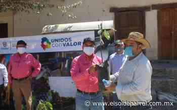 Cultivo de aguacate ocupa cuarto puesto en economía de Guadalupe y Calvo - El Sol de Parral
