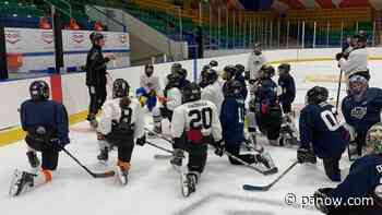 Hockey camps marks return to ice at the Art Hauser Centre - paNOW