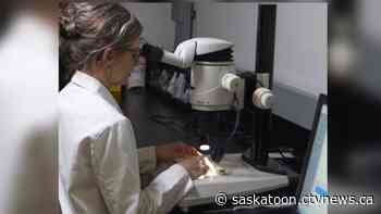 Some Canadian oil paintings are starting to degrade. Saskatoon's Canadian Light Source helped discover why. - CTV News Saskatoon