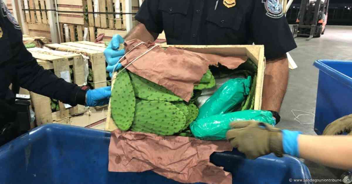 Otay Mesa Border agents again discover meth — $3.3 million worth — hidden among cactuses