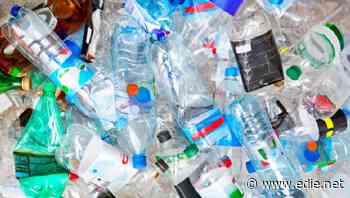 MPs outline support for 'all-in' deposit return system