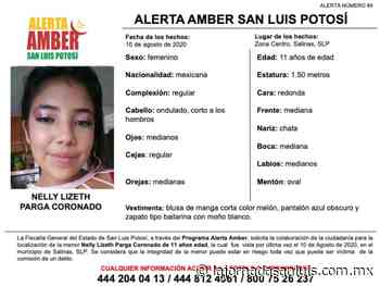 Activan Alerta Ámber para localizar a niña de 11 años en Salinas - La Jornada San Luis