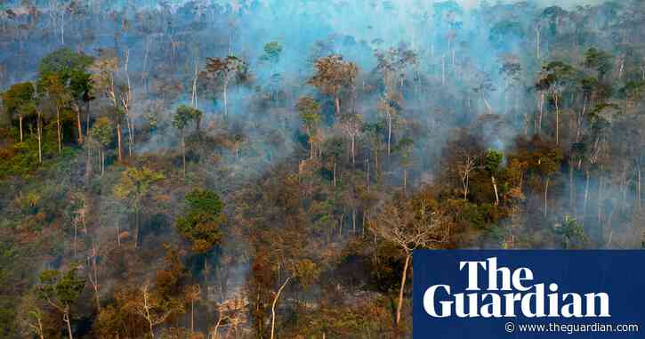 Brazil experiences worst start to Amazon fire season for 10 years