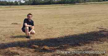 Appeal after repeated arson attacks on Sunderland parkland putting homes at risk