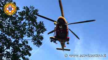 Cade dal terzo piano sull'erba: grave un bimba di soli due anni - L'Eco Vicentino