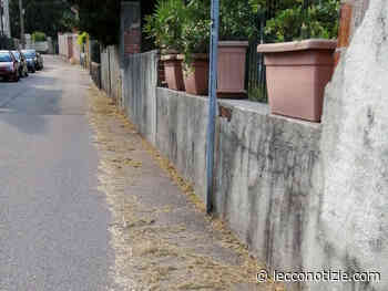 San Giovanni, un lettore segnala: “Tagliano l’erba ma poi la lasciano sulla strada” - Lecco Notizie
