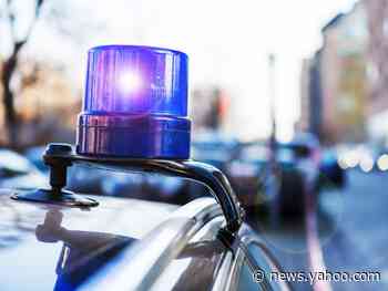 2 Georgia police officers are being investigated after shooting at 5 Black children during a traffic stop