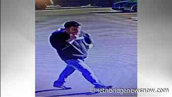 Lethbridge Police seeking suspect in break and enter and assault - Lethbridge News Now