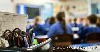 Exam Results Survey: Have your say on this year's A level and GCSE results