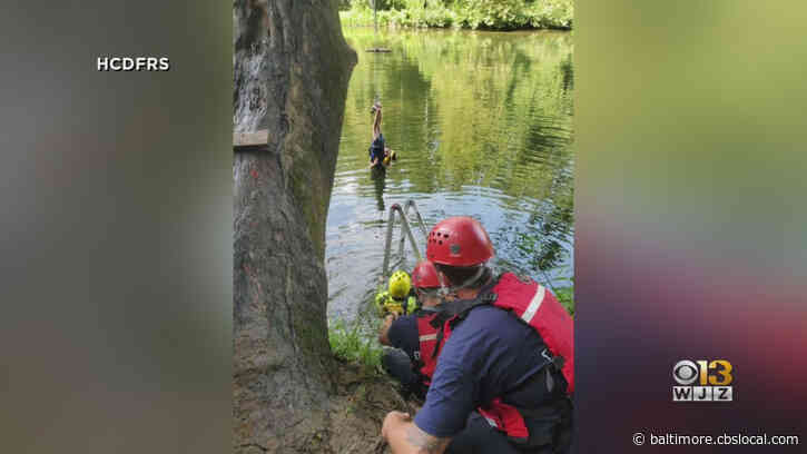 Crews Rescue Maryland Boy Tangled In Rope Swing