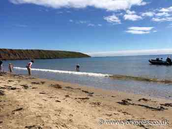 Woman punched in face after asking family not to leave litter on beach