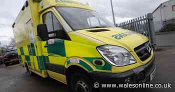 Welsh Ambulance Service has busiest 24 hours since New Year's Day