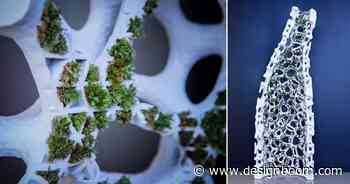 yong ju lee embeds plant life into architecture with 'moss tower' prototype - Designboom