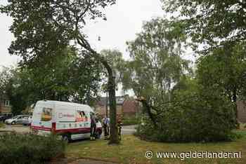 Onweersbuien trekken over het land, plaatselijke stormschade gemeld