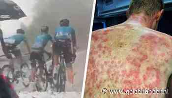 Enorme hagelstenen teisteren renners op slotklim in Dauphiné; Declercq toont gehavende rug