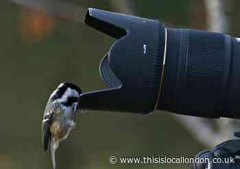 Wildlife charity offering prizes for your best nature snaps